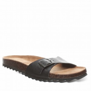 Bearpaw Ava Sandaler Dame Sort | QRE7388IW