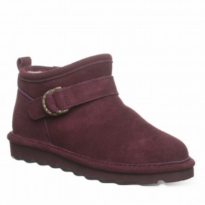 Bearpaw Petite Støvler Dame Lilla | EER880UQ