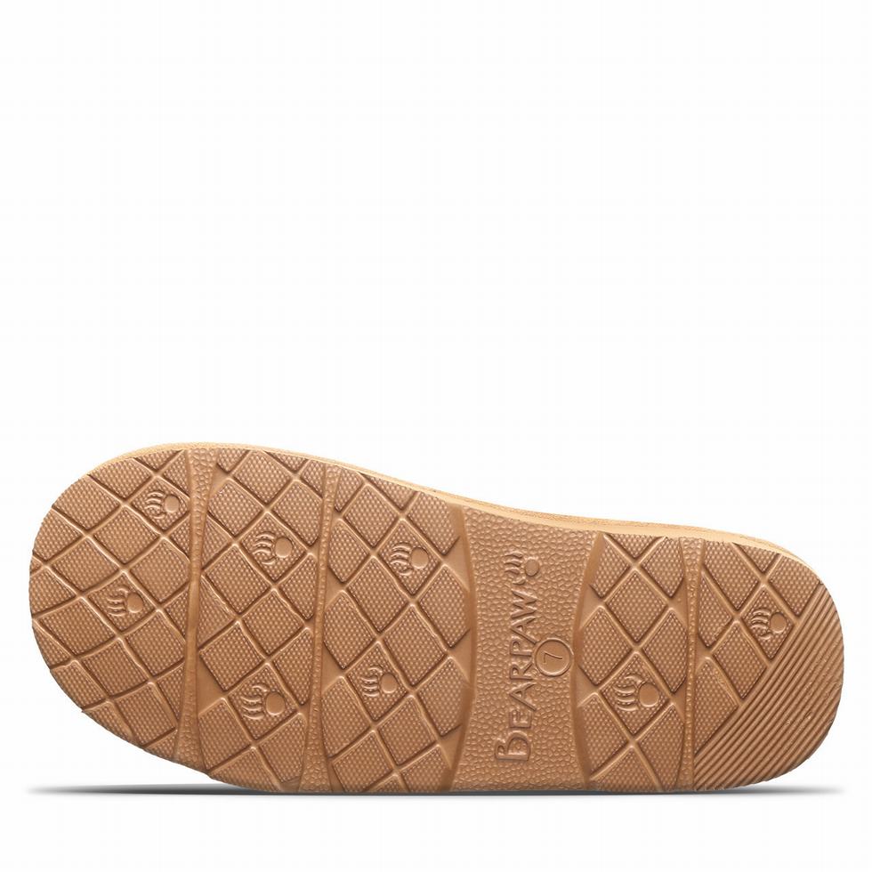 Bearpaw Loki Exotic Tøfler Dame Brune | RQF3663FU