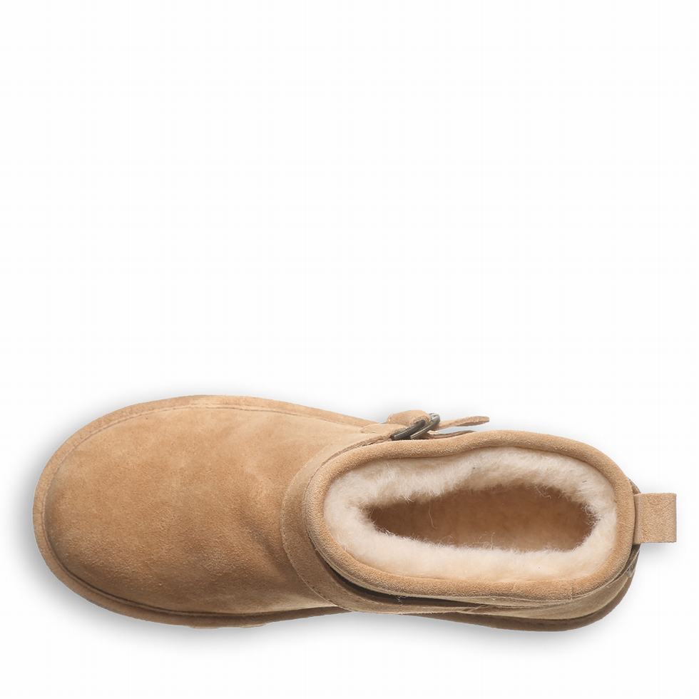 Bearpaw Petite Støvler Dame Brune | DTP9819KI