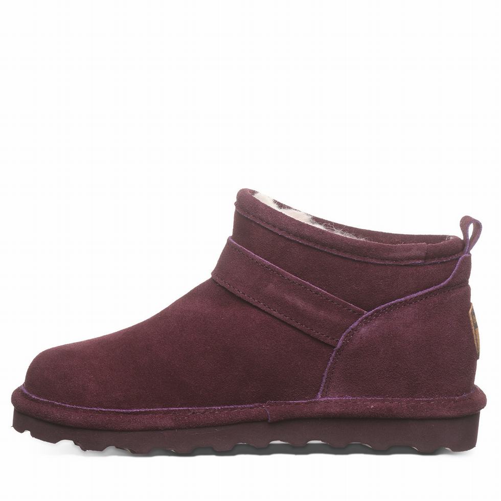 Bearpaw Petite Støvler Dame Lilla | EER880UQ