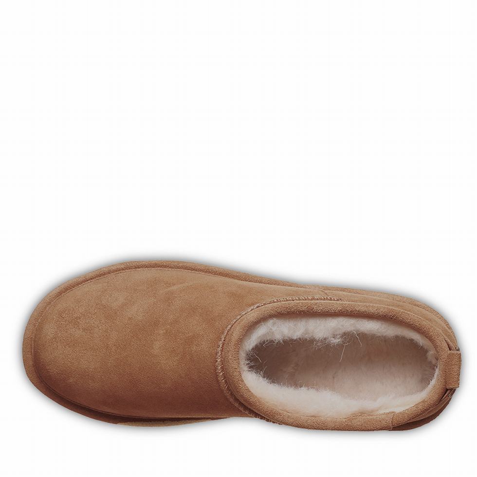 Bearpaw Retro Super Shorty Platform Støvler Dame Brune | DUM8417YS