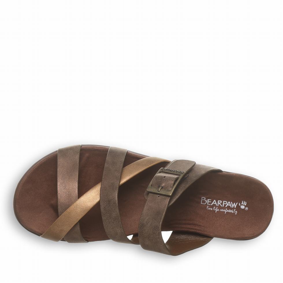 Bearpaw Rhodes Sandaler Dame Brune | WNO1914IZ