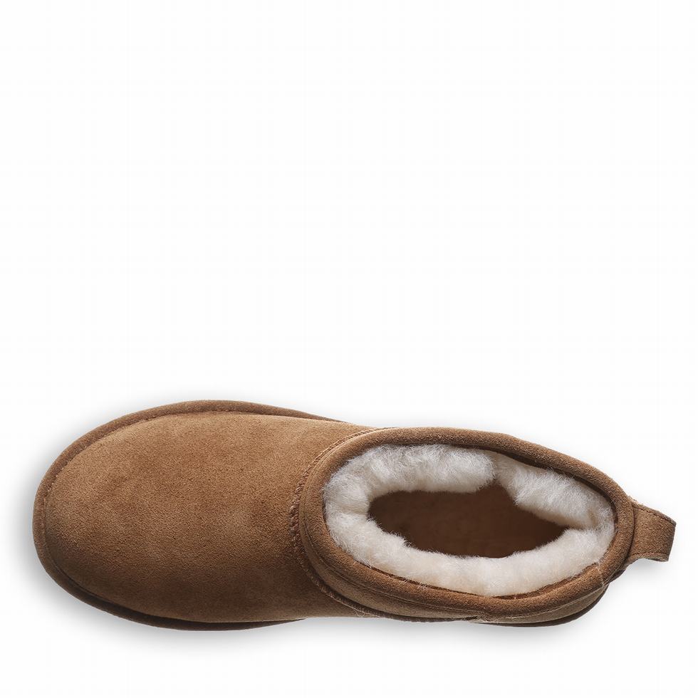 Bearpaw Shorty Støvletter Dame Brune | DPX6412VY